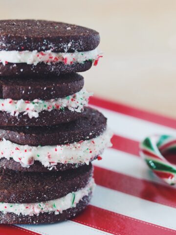 chocolate candy cane sandwich cookies_hot for food
