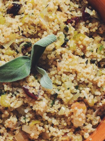 quinoa and apple stuffing_hot for food