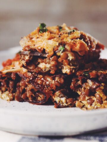 eggplant lasagna roll ups_hot for food