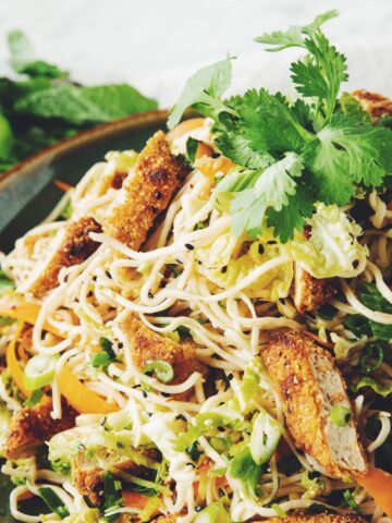 vegan crispy chicken asian noodle salad_hot for food