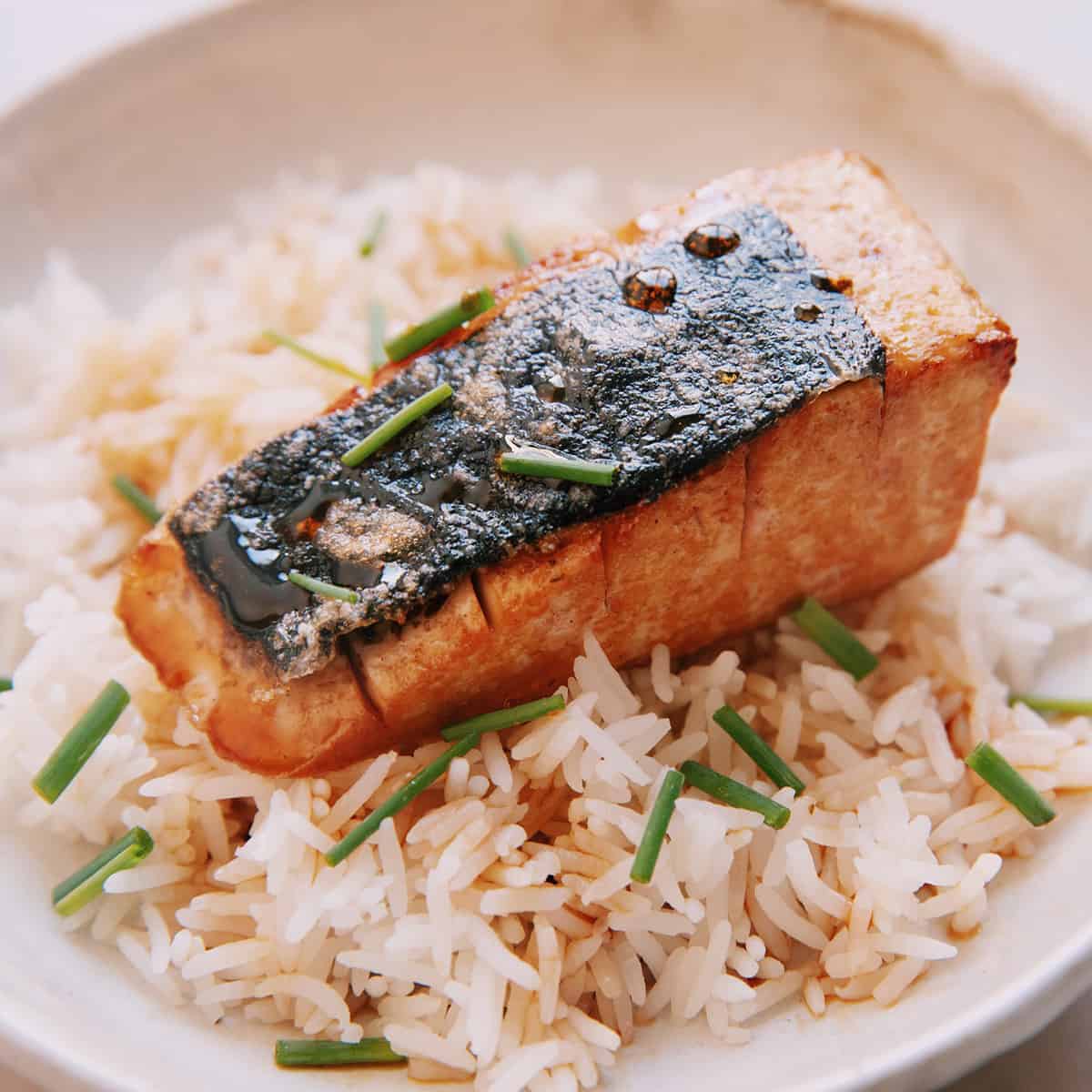 tofu salmon fillets - hot for food